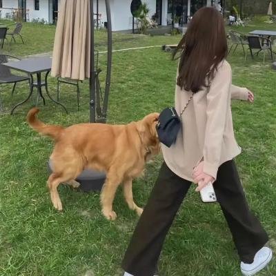 夏洛特眼中的简